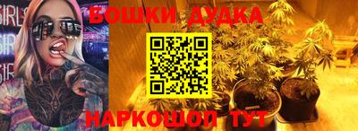 молекула духа Жуковский