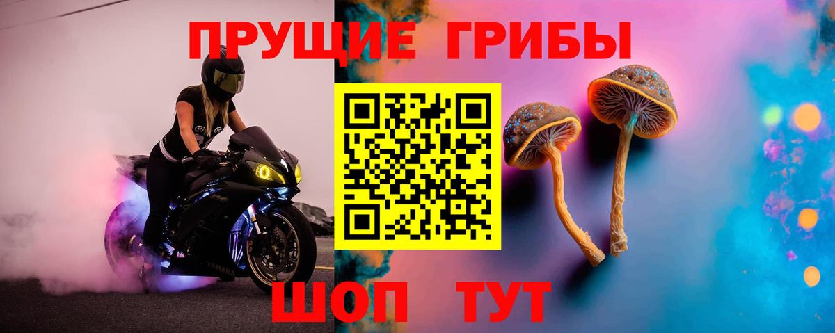 Галлюциногенные грибы Magic Shrooms  дарнет шоп  Ярцево  Вход с VPN 